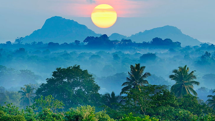 naturaleza, cielo, vegetación, palmeras, mañana, amanecer, paisaje de monte, Sri Lanka, bosque, amanecer, luz del sol, árbol, Asia, palmera, selva, Fondo de pantalla HD