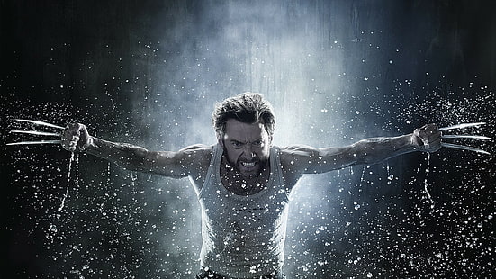 Wolverine, X-Men Kökenleri: Wolverine, filmler, Hugh Jackman, HD masaüstü duvar kağıdı HD wallpaper