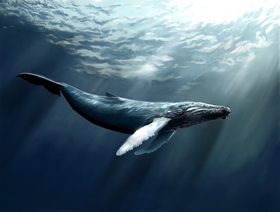 картина на сив кит, море, вода, риба, изкуство, комплект, кашалот, HD тапет HD wallpaper