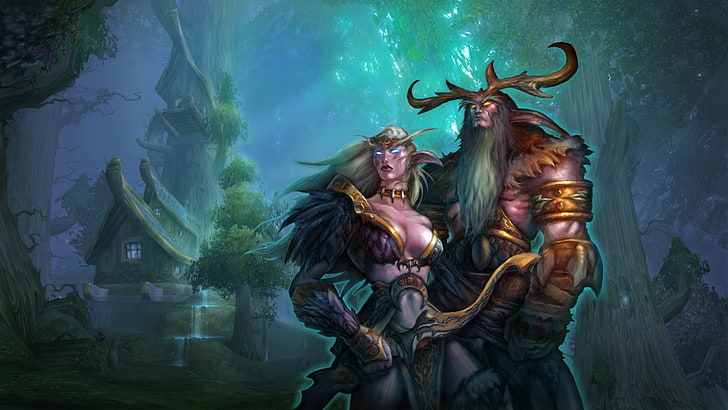 Wallpaper mit weiblicher Figur, Elfen, Nachtelfen, World of Warcraft, Fantasy-Kunst, Malfurion, Tyrande, HD-Hintergrundbild