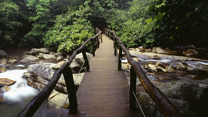 Ponte nel Parco Nazionale delle Grandi Montagne Fumose, ponte di legno marrone, natura, 1920x1080, parco nazionale, grandi montagne fumose, tennessee, Sfondo HD