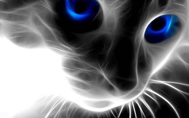 Cat 3d Необычные животные Обои Kerlabs Net Hd Обои Бесплатно 139868 2560 × 1600, HD обои