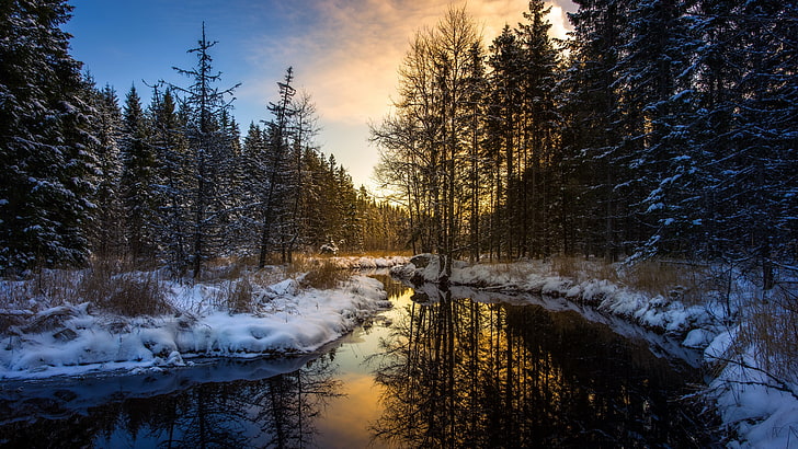 reflection, river, snow, winter, evening, forest, afternoon, mangskog, sunset, europe, sweden, arvika, HD wallpaper