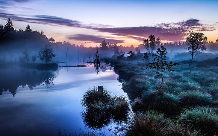 landscape, trees, morning, Europe, mist, river, water, blue, reflection, calm, shrubs, Germany, nature, HD wallpaper