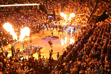 농구, 그리즐리, 멤피스, NBA, HD 배경 화면 HD wallpaper