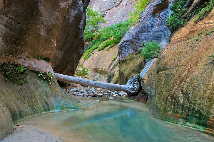 landscape, nature, Zion National Park, HD wallpaper
