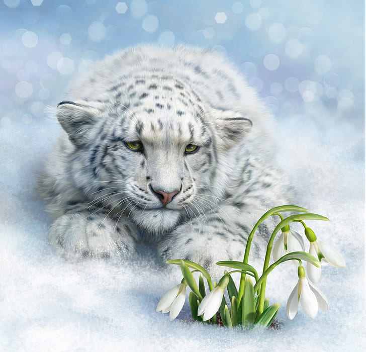 Schnee, Blumen, Stimmung, Kunst, Schneeglöckchen, Schneeleopard, Wildkatze, IRBIS, HD-Hintergrundbild