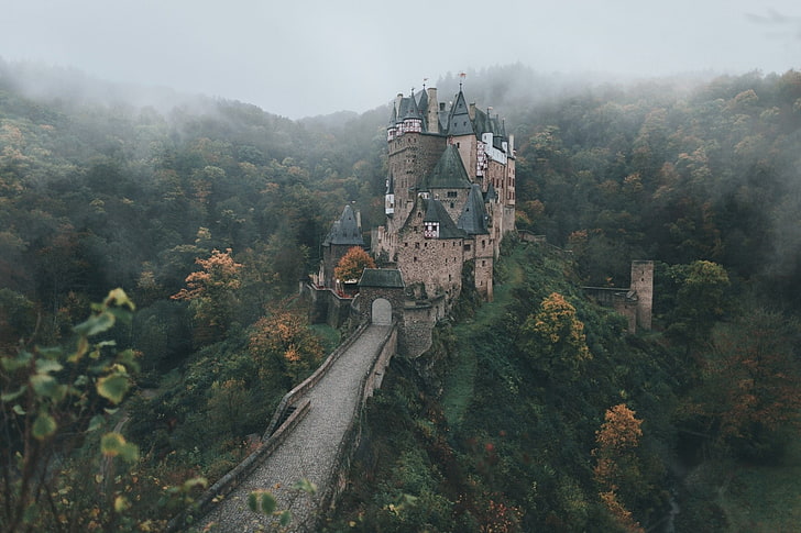 Замъци, замък, сграда, мъгла, гора, HD тапет