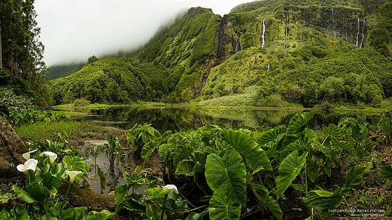 Пышный пейзаж, Азорские острова, Португалия, природа, HD обои HD wallpaper