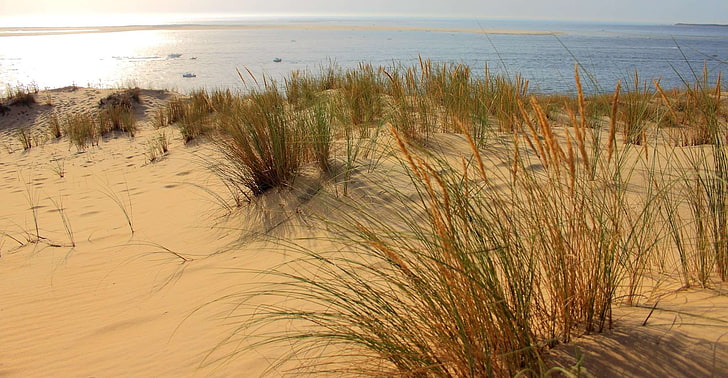 atlantic coast, beach, dune, dune pyla you, sand, sand beach, sand dune, HD wallpaper