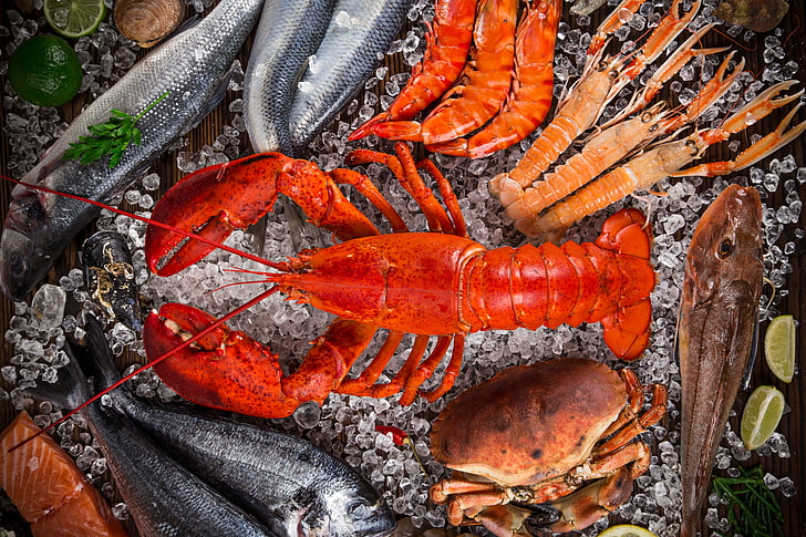 crab, crayfish, fish, life, lobster, seafood, still, HD wallpaper
