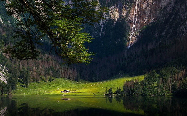 pohon pinus hijau di dekat gunung dan badan air, alam, Wallpaper HD
