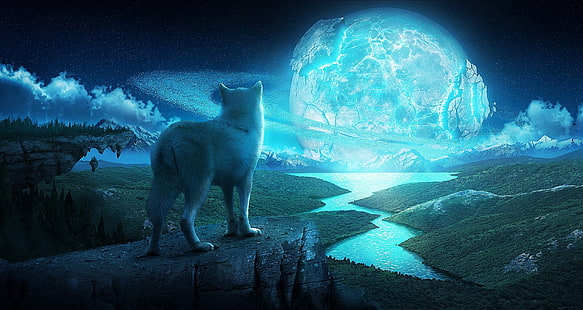 Kunst, Fantasie, Landschaft, Nacht, Planet, Wolf, Wölfe, HD-Hintergrundbild HD wallpaper
