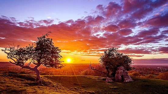 cielo, naturaleza, árbol, planta leñosa, puesta de sol, nube, tarde, campo, puesta de sol naranja, puesta de sol roja, campo, área rural, luz solar, atmósfera, Fondo de pantalla HD HD wallpaper