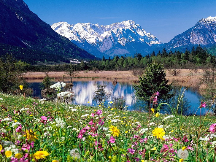 Река Loisach Германия, розови, бели и жълти листни цветя, природа, езеро, HD тапет
