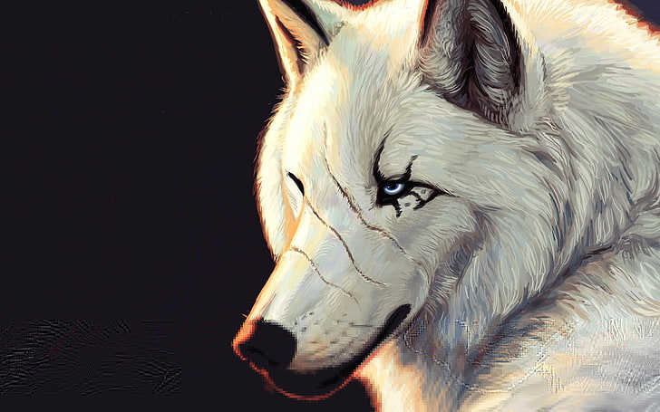 white wolf digital wallpaper, white, Wolf, black background, blue eyes, scars, HD wallpaper