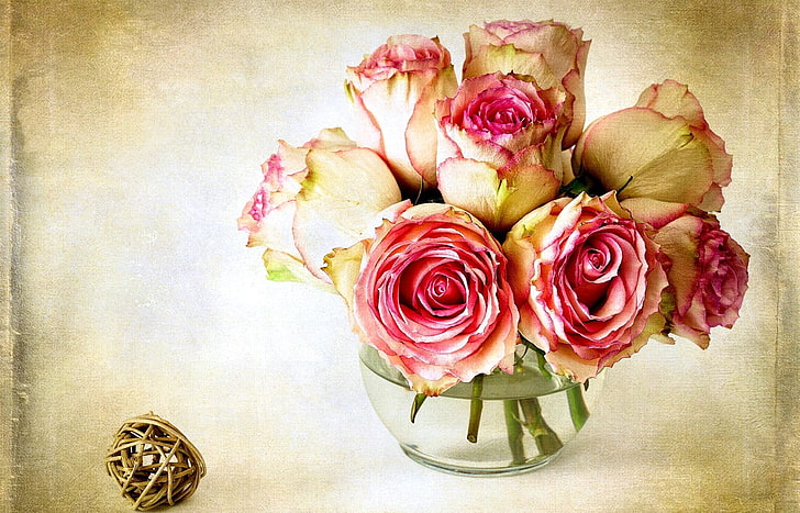 beige-and-pink petaled flowers poster, flower, flowers, pink, rose, color, roses, vase, the Queen of flowers, HD wallpaper
