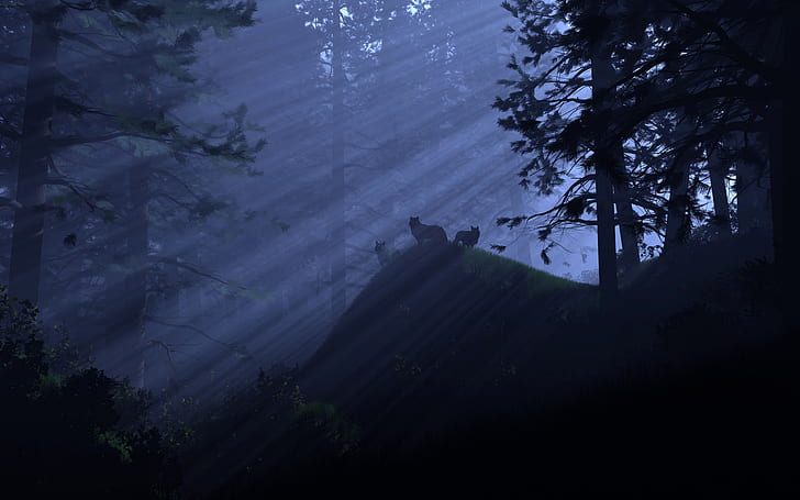 Wolfs Sunlight Trees Forest HD ، صورة ظلية للغابة والطبيعة والأشجار وأشعة الشمس والغابات والذئاب، خلفية HD