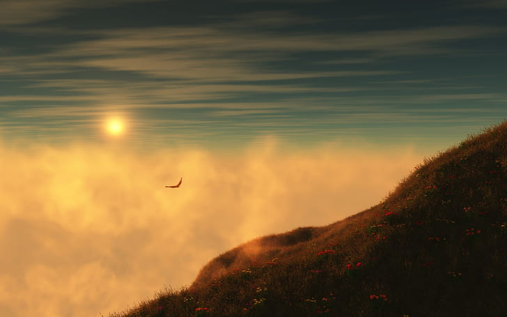 matahari terbenam burung bukit kabut 1680x1050 Hewan Burung HD Seni, matahari terbenam, BURUNG, Wallpaper HD