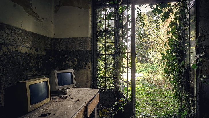 due monitor CRT grigi, computer, natura, Sfondo HD