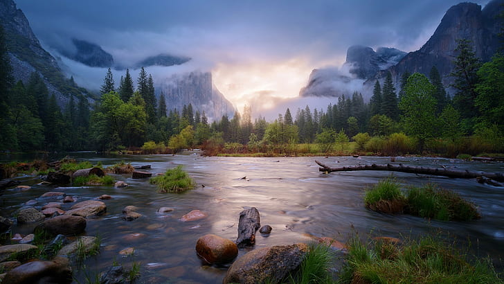 montanhas, névoa, grama, reflexão, Califórnia, luz solar, floresta, EUA, árvores mortas, água, corrente, árvores, nuvens, paisagem, natureza, pedras, rocha, Parque Nacional de Yosemite, HD papel de parede