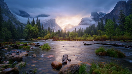 montanhas, névoa, grama, reflexão, Califórnia, luz solar, floresta, EUA, árvores mortas, água, corrente, árvores, nuvens, paisagem, natureza, pedras, rocha, Parque Nacional de Yosemite, HD papel de parede HD wallpaper