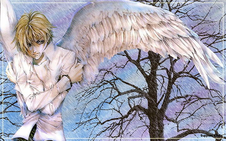 Anime, Angel Sanctuary, HD wallpaper | Wallpaperbetter