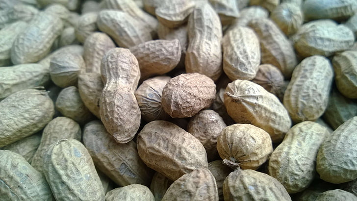 close up, crunchy, diet, food, fruit, groundnut, healthy, heap, macro, natural, nature, nutrition, nuts, peanuts, protein, vegetarian, HD wallpaper