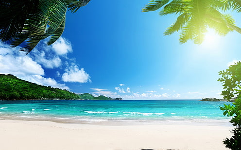 тропици, плаж, палми, море, острови, слънце, зашеметяващо, карибско море, плаж през деня, тропици, плаж, палми, море, острови, слънце, зашеметяващо, карибско море, HD тапет HD wallpaper
