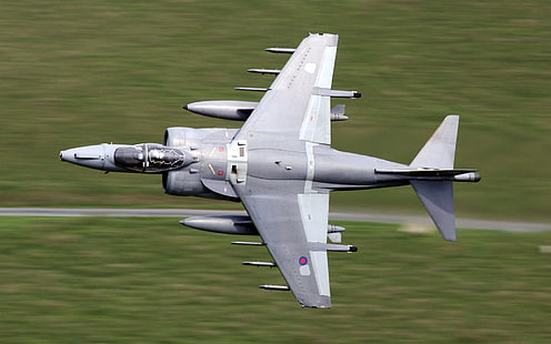avión de combate gris, avión, guerra, militar, Harrier, hierba, avión, avión militar, vehículo, Fondo de pantalla HD HD wallpaper