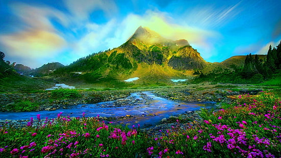 природа, диви цветя, цвят, пустиня, небе, планина, ливада, планина, сутрин, свеж, пейзаж, слънчева светлина, пролет, HD тапет HD wallpaper