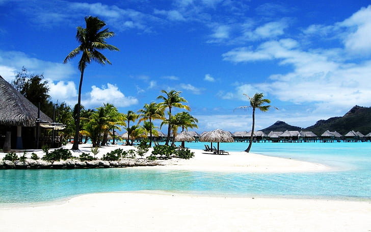 Bora Bora Beach Resort Palm Sea, Playa, Resort, Palm, Mar, Fondo de pantalla HD
