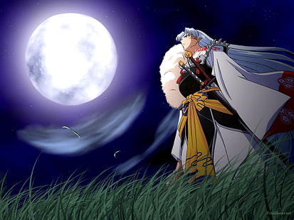 Full Moon Grass Sesshomaru Full Moon Anime Inuyasha HD Art, hierba, noche, Sesshomaru, luna llena, cielo nocturno, Fondo de pantalla HD HD wallpaper