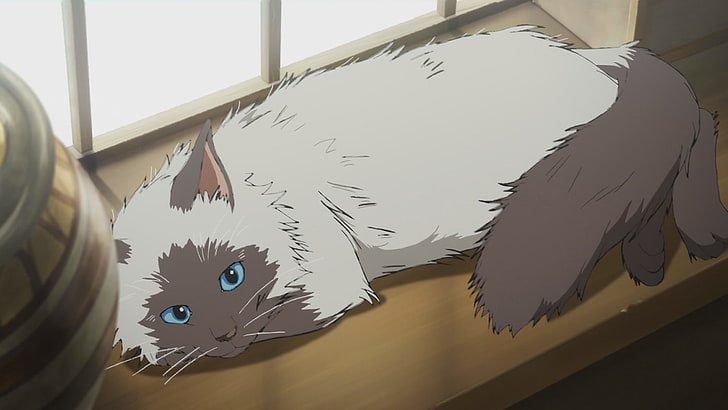 kedi, anime, Granblue fantezi, HD masaüstü duvar kağıdı