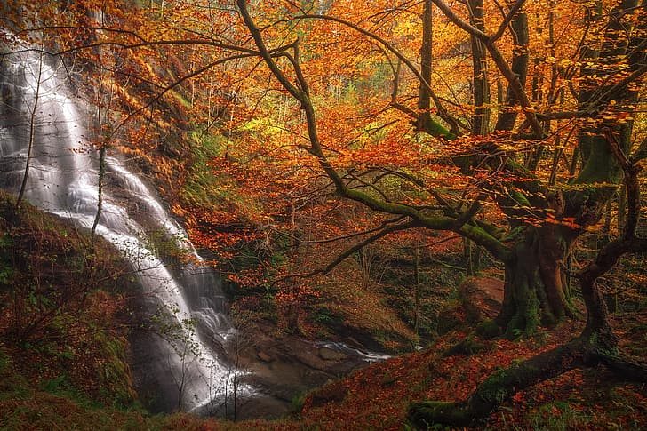 autumn, forest, trees, waterfall, Spain, cascade, Biscay, Basque Country, Uguna Waterfall, HD wallpaper