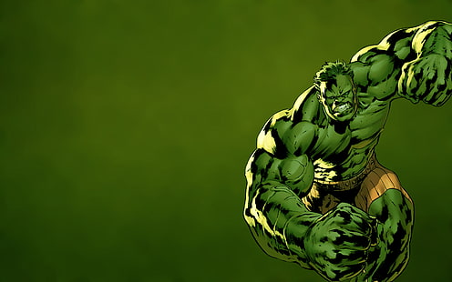 Hulk HD, maravíllate con el increíble Hulk, cómics, Hulk, Fondo de pantalla HD HD wallpaper
