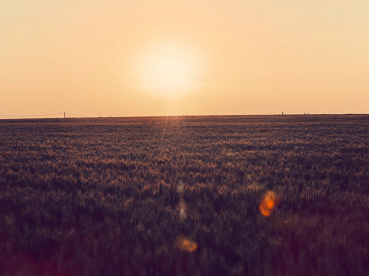 пейзаж закат фотография ферма линии электропередач природа поле объектив блики ясное небо солнечный свет, HD обои