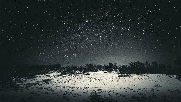 photo de forêt en niveaux de gris, neige, fond d'écran avec arbres, neige, étoiles, défrichement, nature, paysage, traînées d'étoiles, nuit, ciel, sombre, noir, arbres, monochrome, gris, Fond d'écran HD