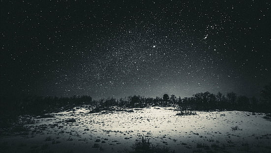 photo de forêt en niveaux de gris, neige, fond d'écran avec arbres, neige, étoiles, défrichement, nature, paysage, traînées d'étoiles, nuit, ciel, sombre, noir, arbres, monochrome, gris, Fond d'écran HD HD wallpaper