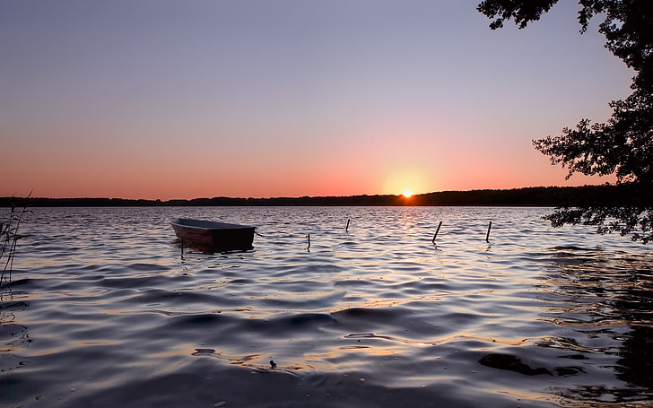 bote de remos de madera marrón, bote, declive, solitario, lago, Fondo de pantalla HD