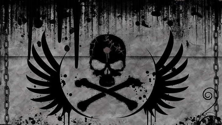 black and gray skull and wing logo, graffiti, skull, HD wallpaper