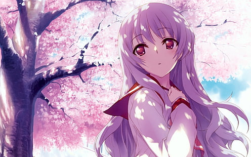 Anime, Girl, Cherry Blossom, HD wallpaper HD wallpaper