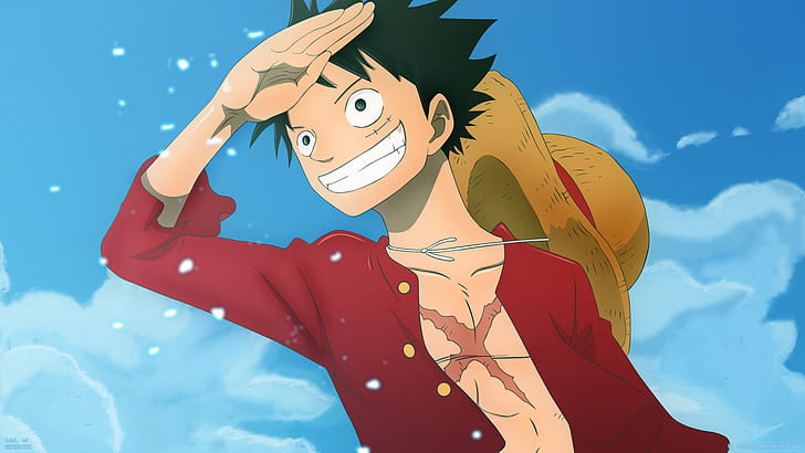 free download | Anime boys, One Piece, Monkey D. Luffy, HD wallpaper |  Wallpaperbetter