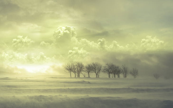 Landschaft, Bäume, Wolken, Himmel, Natur, HD-Hintergrundbild