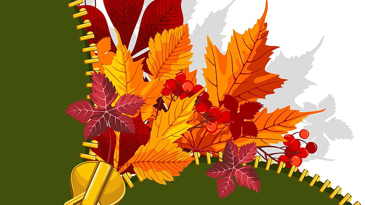 Fall Unzipped, orange, maple, fall, bright, leaves, mountain ash berries, abstract, gold, shadow, autumn, zipper, 3d, HD wallpaper