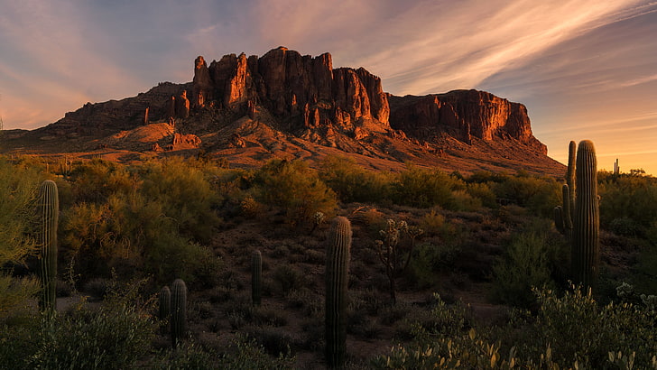 paysage, nature, rocher, USA, Arizona, Fond d'écran HD