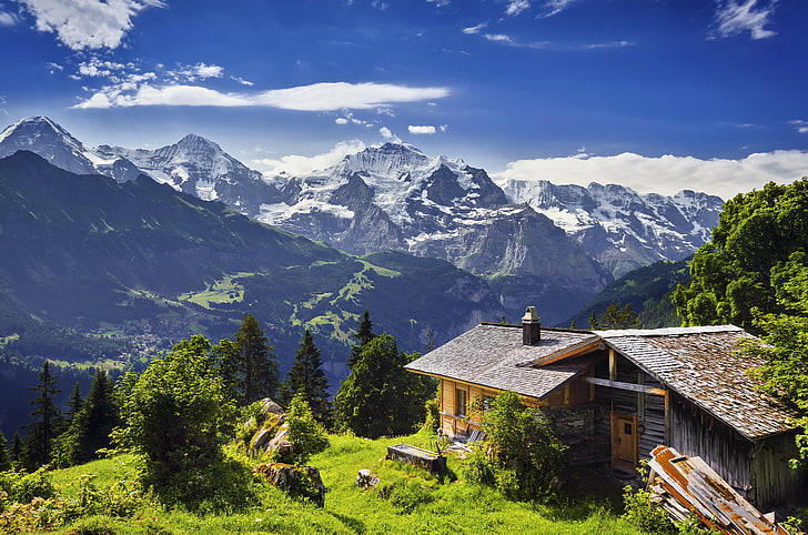 บ้านไม้สีน้ำตาลและเทา, หญ้า, ต้นไม้, ภูเขา, หิน, หิน, สวิตเซอร์แลนด์, ธารน้ำแข็ง, ทัศนียภาพ, หุบเขา, บ้าน, กรินเดลวาลด์, วอลล์เปเปอร์ HD
