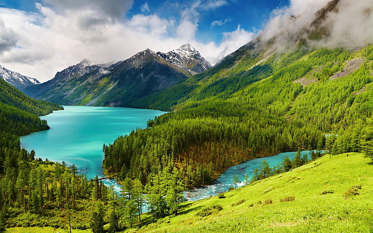 снимка на зелени дървета и водоем, природа, пейзаж, планини, езеро, гора, дървета, вода, HD тапет