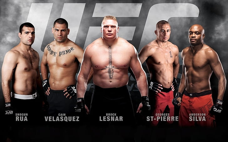 Sports, Mixed Martial Arts, Anderson Silva, Brock Lesnar, Cain Velasquez, Georges St-Pierre, MMA, Ultimate Fighting Championship, HD wallpaper