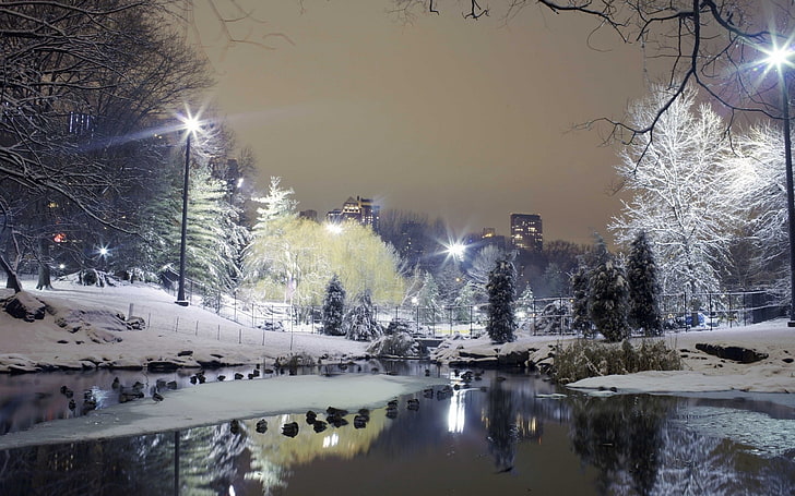 水の風景冬雪街並み街の明かり湖反射夜の街2560x1600ワルパ自然湖hdアート 水 風景 Hdデスクトップの壁紙 Wallpaperbetter